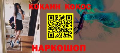 спайс Кингисепп