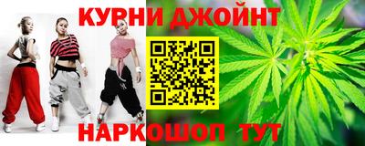 спайс Кингисепп