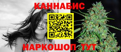 спайс Кингисепп