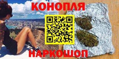 спайс Кингисепп
