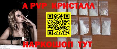спайс Кингисепп