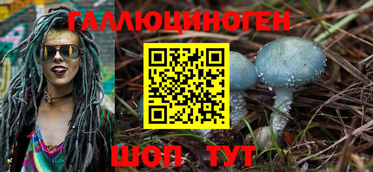 Псилоцибиновые грибы Cubensis Котельники