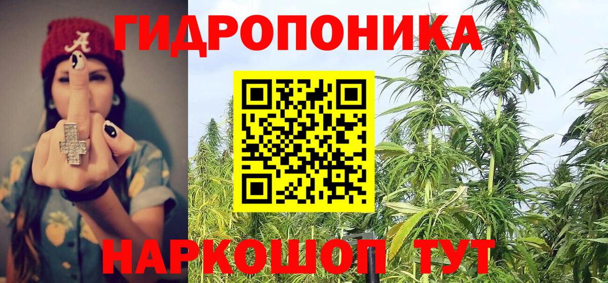 Конопля план Котельники